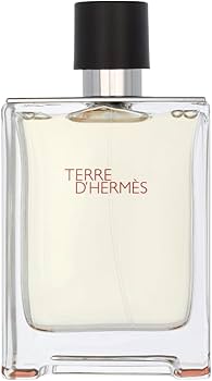 Amazon.com : Terre D' Hermes Eau De Toilette Spray for Men by