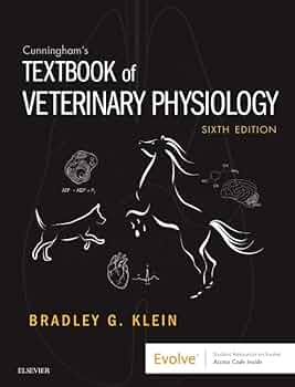 41lnu2VT7-L._AC_UF350,