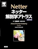 Amazon.co.jp: Frank H. Netter: 本