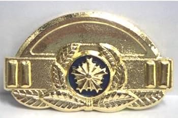 Amazon | 階級章（レプリカ）◇警察グッズ 撮影用 観賞用 演劇用 刑事