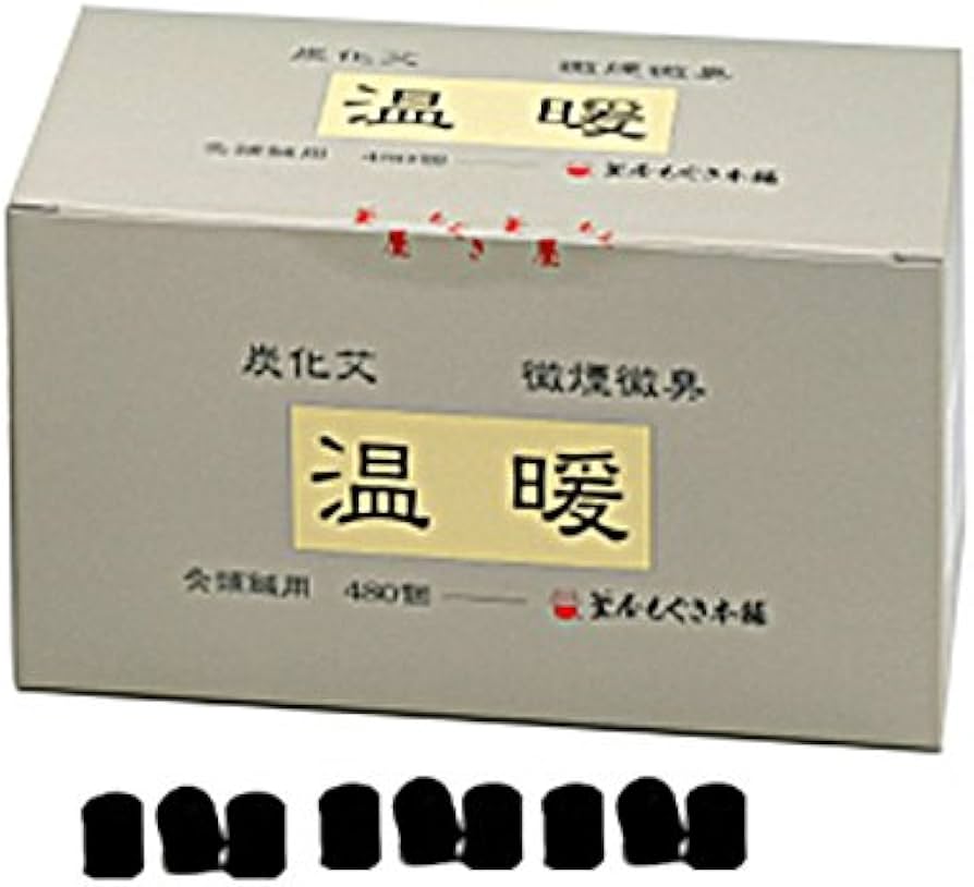 Amazon.co.jp: 温暖(灸頭鍼用もぐさ)炭化艾480入 : ドラッグストア