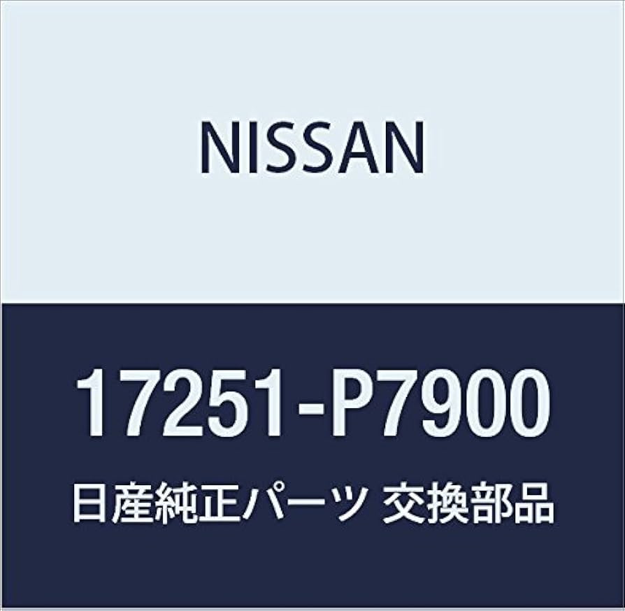 Amazon.co.jp: NISSAN(ニッサン) 日産純正部品 キヤツプ