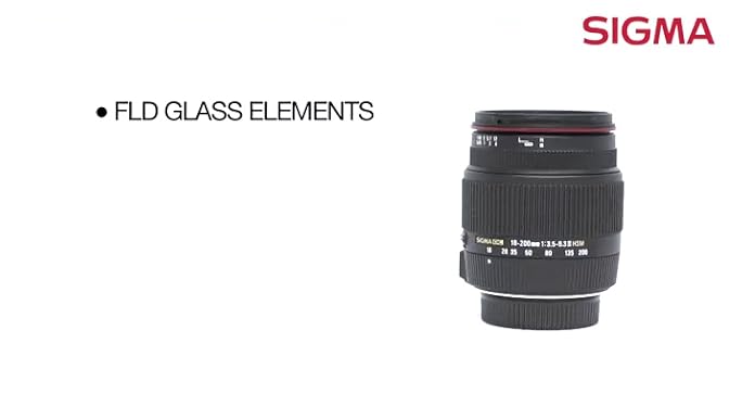 Amazon.com : Sigma 18-200mm F3.5-6.3 II DC OS HSM Lens for Sony