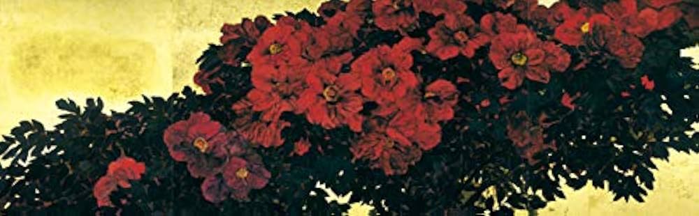 Amazon.co.jp: 土屋禮一画集 : 土屋 礼一: 本