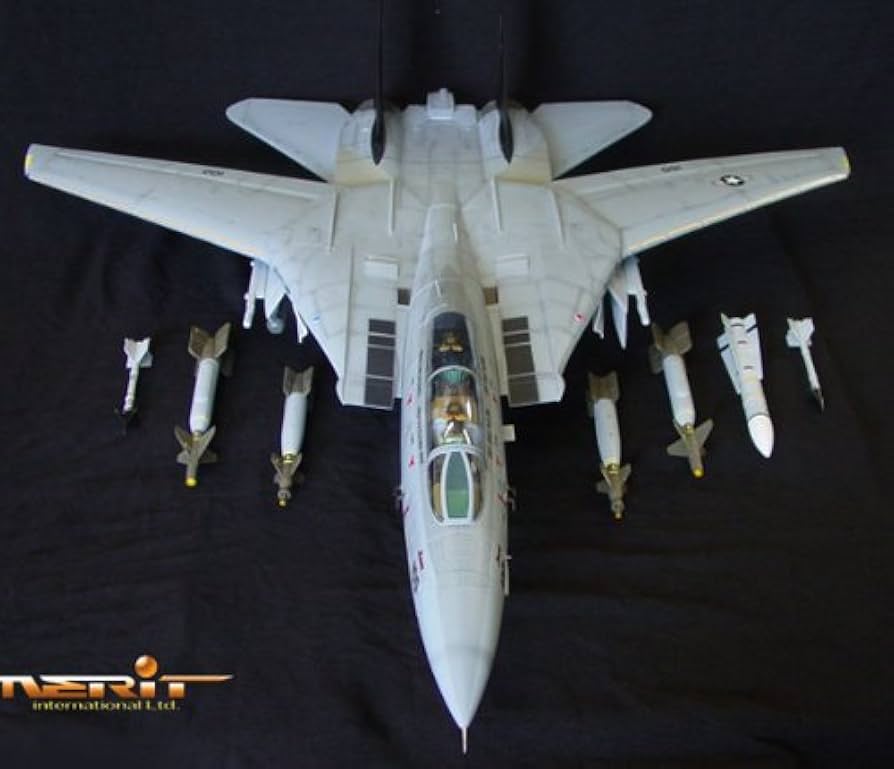 Amazon | 1/18 F-14Aトムキャット VF-154 ブラックナイツ (塗装済み
