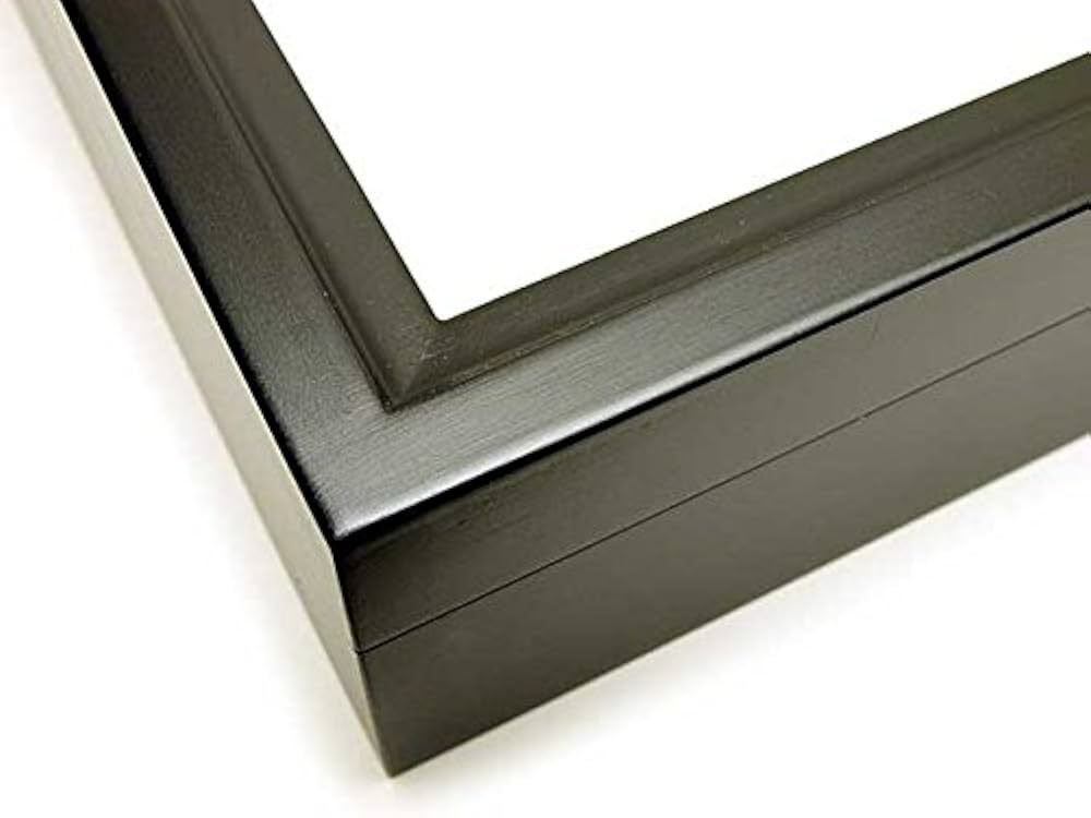 Amazon.co.jp: 【厚型80UVカット】大型ドイツ型標本箱（黒