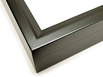 Amazon | 大型ドイツ型標本箱（黒） | 生態・採集 | おもちゃ