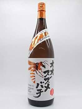 41soIX+LqnL._AC_UF350,