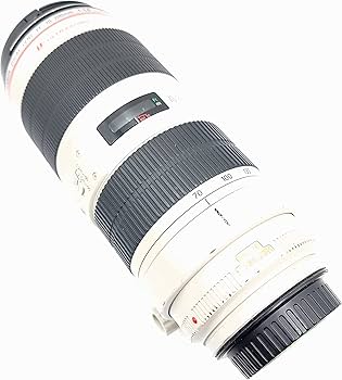 Amazon.com : Canon EF 70-200mm f/2.8L IS II Telephoto Zoom Lens