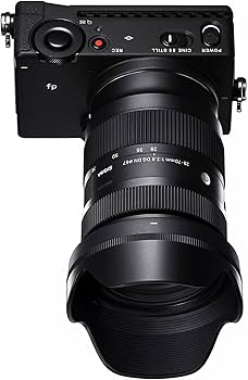 Amazon.co.jp: シグマ(Sigma) レンズ 28-70mm F2.8 DG DN Sony ソニー