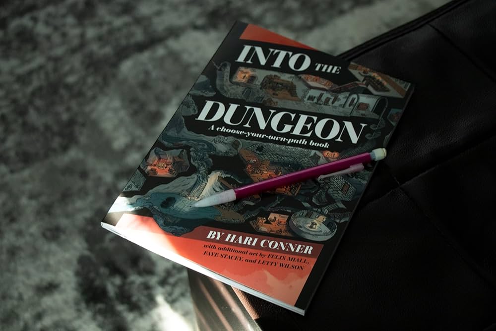 Into the Dungeon: A Choose-Your-Own-Path Book: Conner, Hari