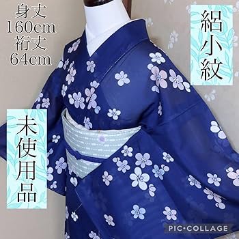 Amazon.co.jp: 品 ！夏着物 絽 小紋 洗える着物 さんび誂製 舞花文