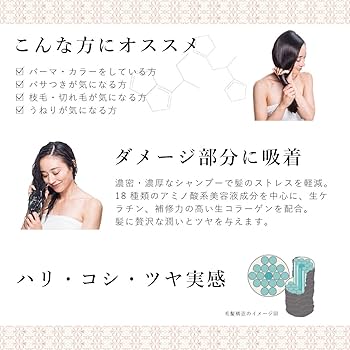 Amazon | ベルーガ アミノ酸 シャンプー アミノダメージケア 400ml