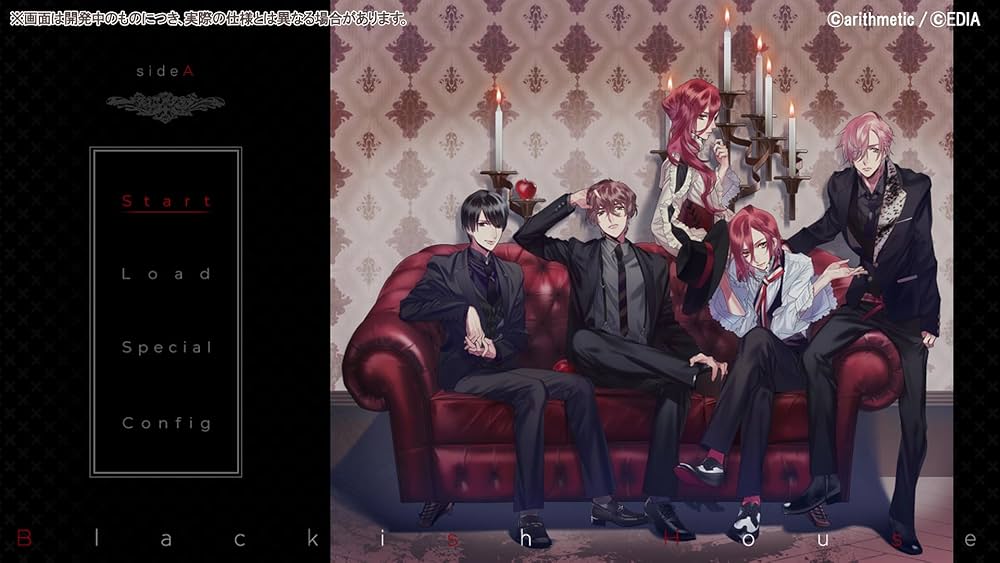 Amazon.co.jp: Blackish House sideA→ -Retour- Switch : 楽器・音響機器