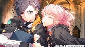 Amazon.co.jp: ワンド オブ フォーチュン R for Nintendo Switch 特装