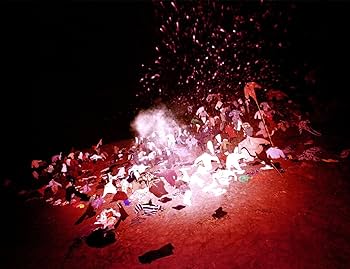 Amazon.co.jp: 螺旋海岸 album : 志賀理江子: 本