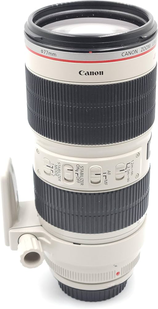 Amazon.co.jp: Canon 望遠ズームレンズ EF70-200mm F2.8L IS II USM