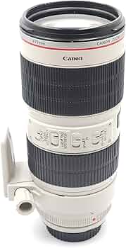 714c+UmpK-L._AC_UF350,