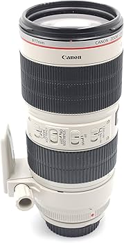 Amazon.com : Canon EF 70-200mm f/2.8L IS II Telephoto Zoom Lens