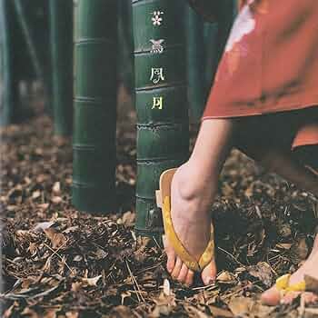 Amazon.co.jp: 花鳥風月+: ミュージック