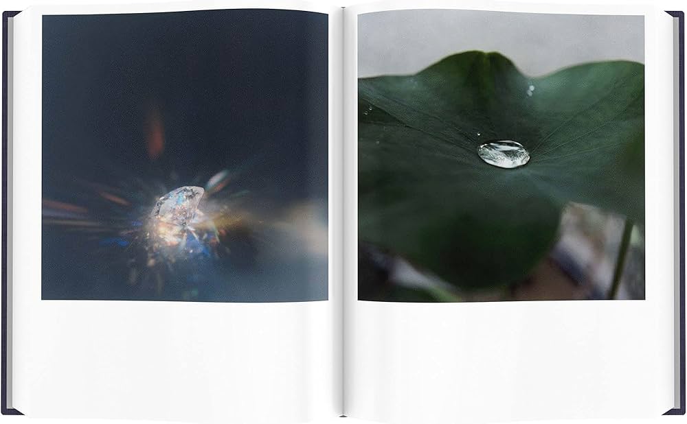 Amazon.co.jp: Illuminance: The Tenth Anniversary Edition : 川内