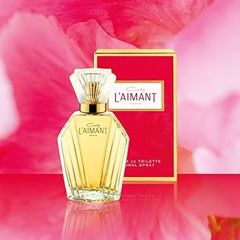 ー20% Coty L'Aimant Eau de Toilette 240ml Amazon.com : Coty L