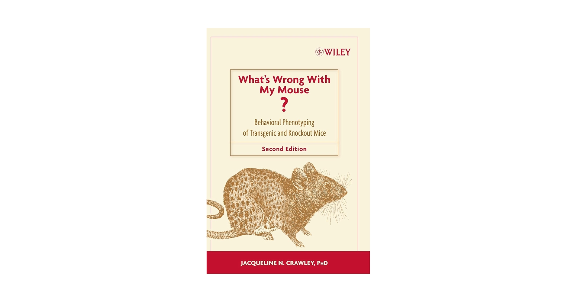 洋書・美品】What's Wrong with my Mouse? 洋書・美品】What´s Wrong