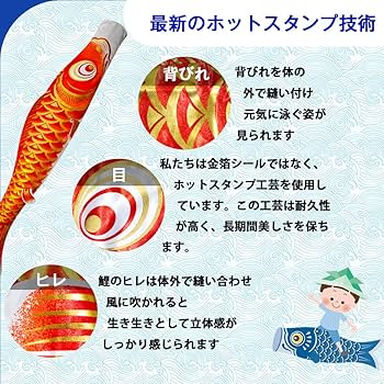Amazon | 鯉のぼり こいのぼり 1.5mフルセッ 金箔 ベランダ用 鯉5匹 2m
