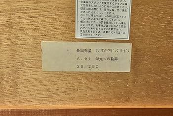 Amazon.co.jp: (4-8022)長岡秀星『アイルトンセナ 栄への軌跡』29290