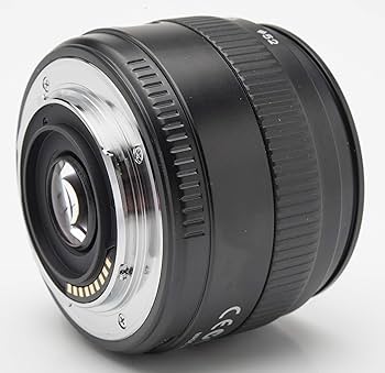 Amazon.com : Olympus ZUIKO Digital 35mm 1:3.5 Macro Lens : Digital