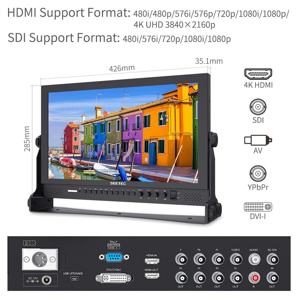 SEETEC P173-9HSD 17.3