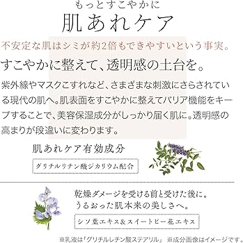 Amazon | ファンケル (FANCL) (新) ブライトニング 化粧液 II しっとり