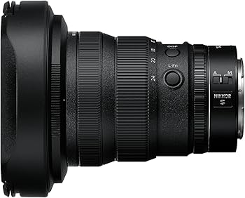 Amazon.com : Nikon NIKKOR Z 14-24mm f/2.8 S | Professional large