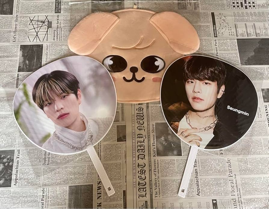 Amazon.co.jp: スンミン うちわ うちわケース スキズ straykids