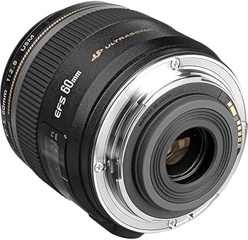 Canon EF-S 60mm f/2,8 Makro USM: Amazon.co.uk: Electronics & Photo