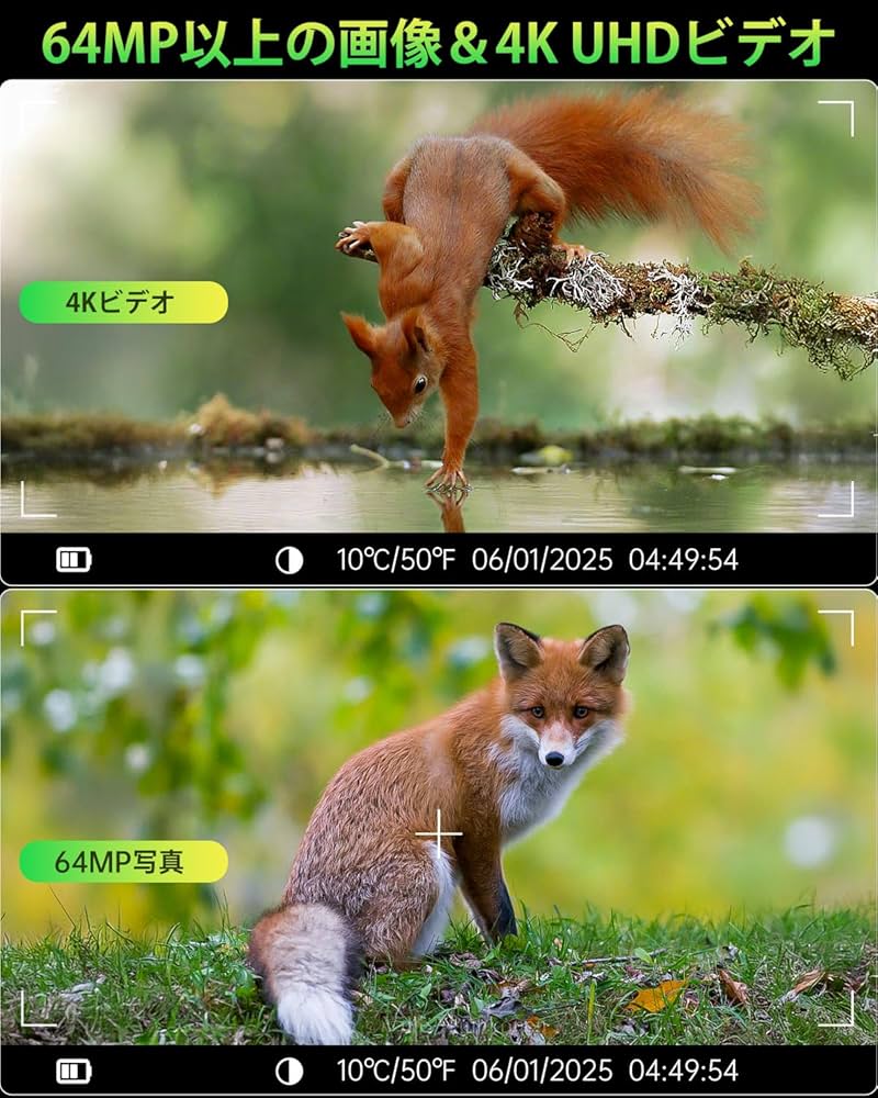 Amazon.co.jp: FKPCAM 2025最新型【WIFI&ソーラー充電式】 レイル