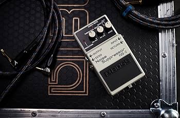 Amazon.com: BOSS NS-2 Noise Suppressor Guitar Pedal : Musical