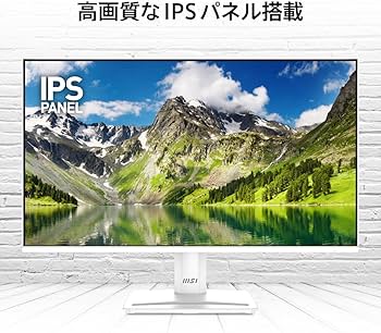 Amazon.co.jp: 【Amazon.co.jp限定】MSI PRO MP251W E2 モニター 24.5