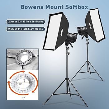 Amazon | Godox MS300V ストロボ フラッシュ スタジオ ライト撮影