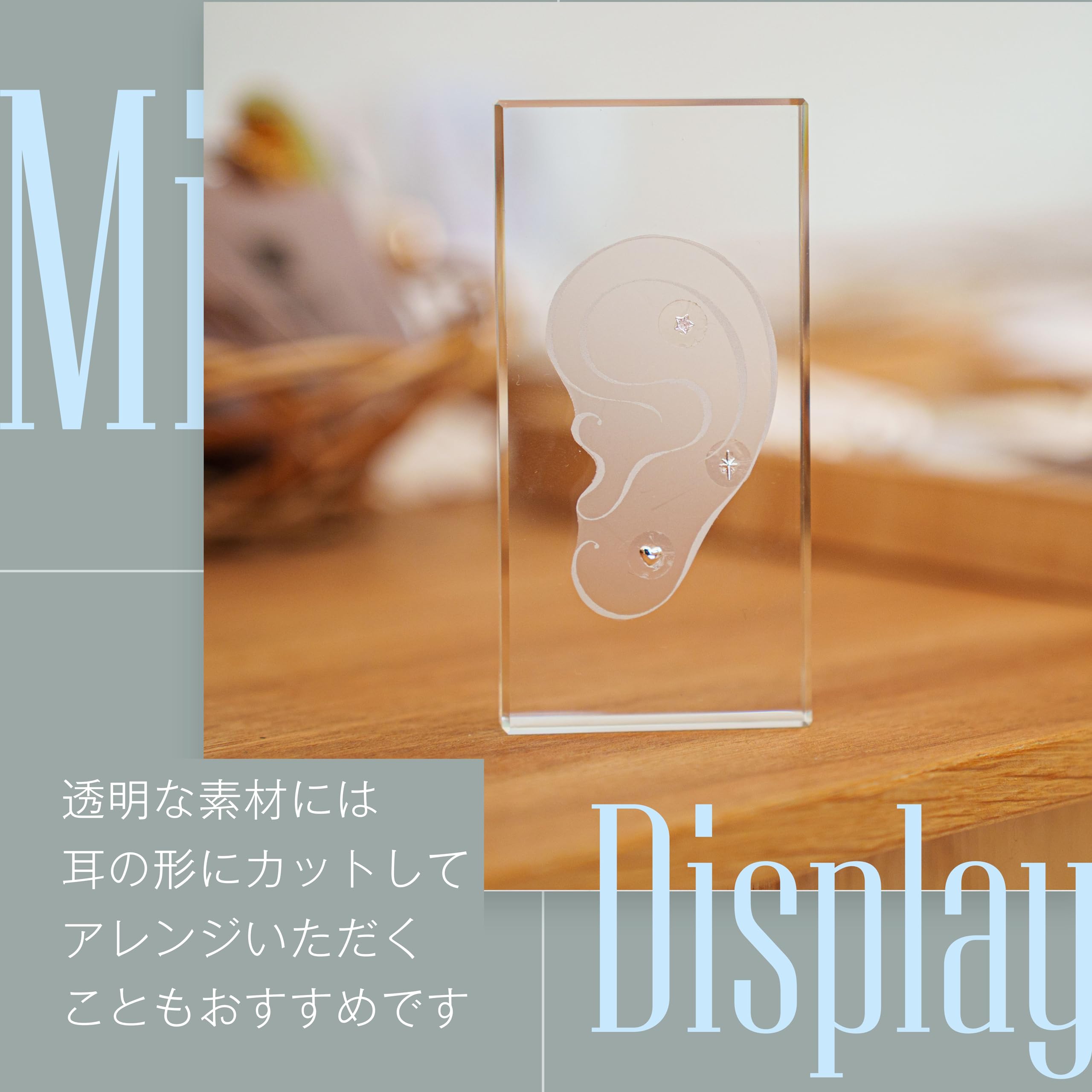 Amazon | 耳ツボジュエリー ディスプレイ用シール【5枚入り】業務用 耳