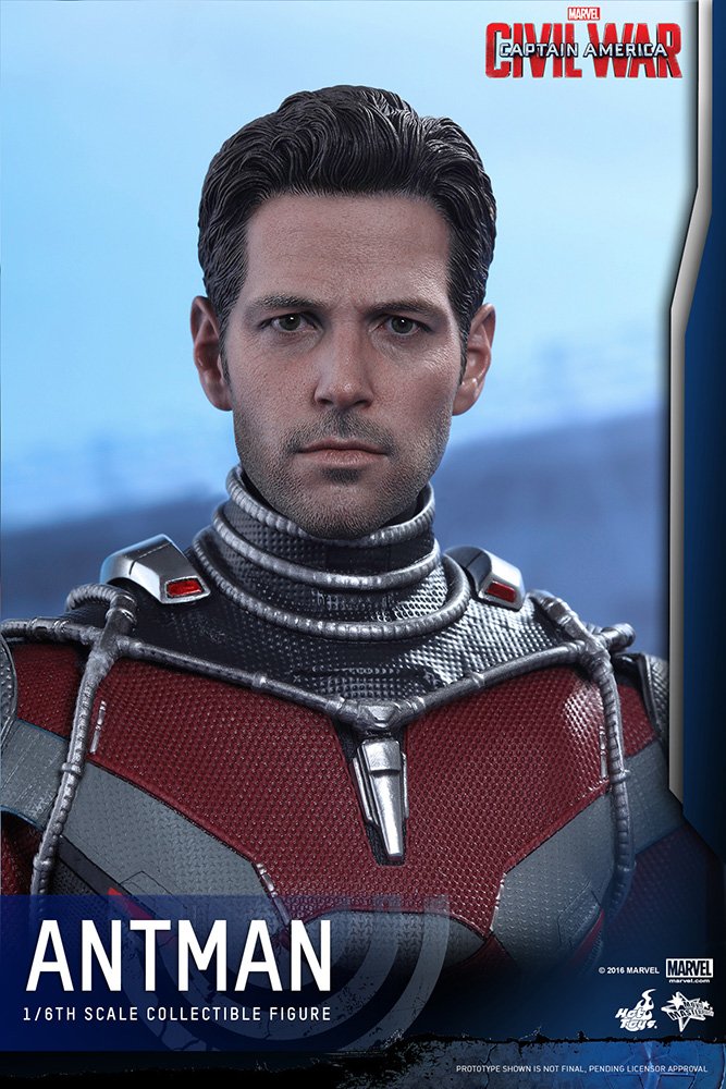 Amazon.com: Hot Toys Marvel Captain America Civil War Ant-man 1/6