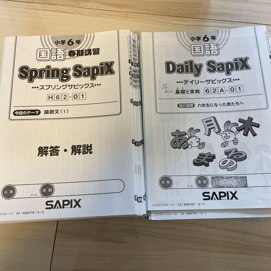 デイリーサピックス算数 2年生 2025年全17冊 ㉒あ サピックス SAPIX 2