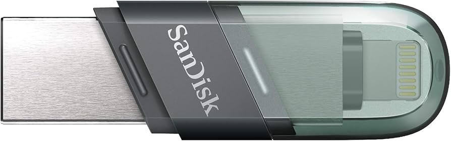 Amazon.com: SanDisk 256GB iXpand USB Flash Drive Flip SDIX90N-256G