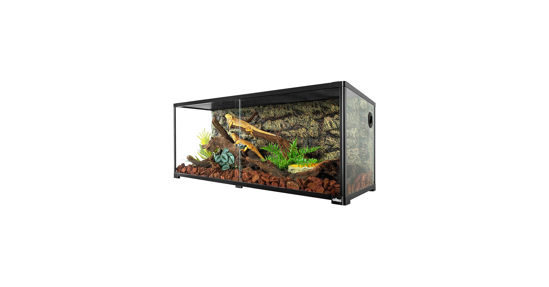 Amazon | 243L 爬虫類ケージ グラステラリウム 透明 飼育ケース 飼育