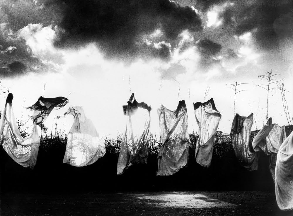 マリオ・ジャコメッリ写真集 | マリオ・ジャコメッリ, 岡本太郎 |本