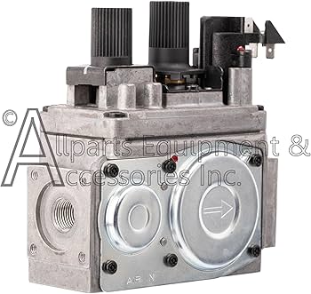 Amazon.com: 0820652 SIT 820 Nova mV Natural Gas Replacement