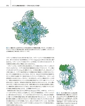 細胞の分子生物学 原書第7版 | 中村桂子, 水島昇, 塩見春彦, 三浦正幸