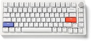 Amazon.co.jp: DrunkDeer A75 Rapid Trigger Keyboard Mechanical TKL