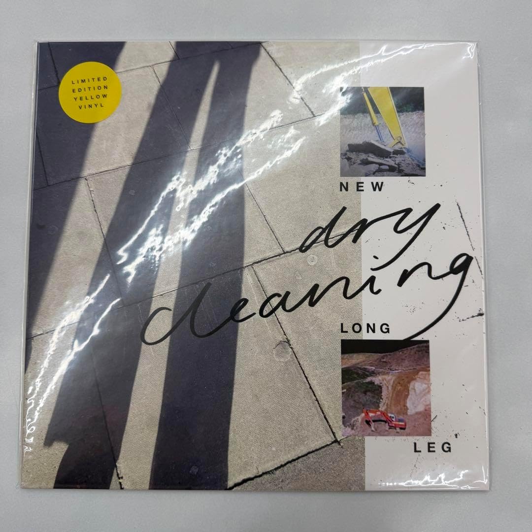 サイン入り】Dry Cleaning NEW LONG LEG レコード