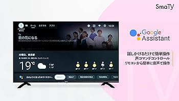Amazon | TikTok TVアプリ対応 SmaTY チューナーレス スマートテレビ